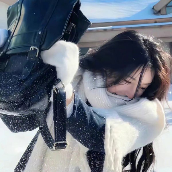 好莱坞以北 海报