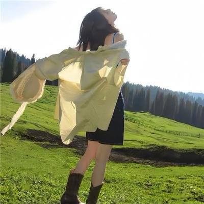 两厢情愿 海报